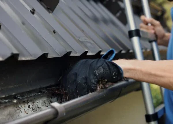 gutter-cleaning services